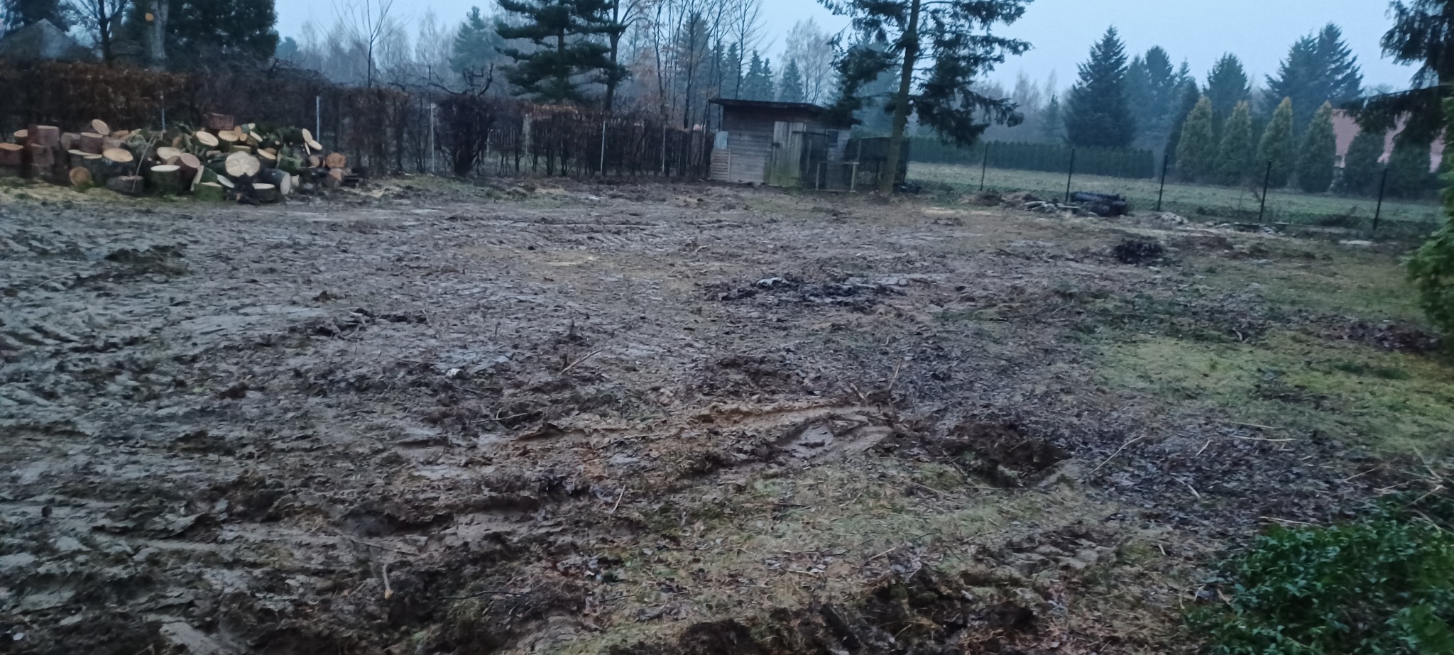 Wyrównany, błotnisty teren po wycince drzew. Ślady opon, sterta pociętego drewna i mały budynek w tle. Pochmurny dzień.