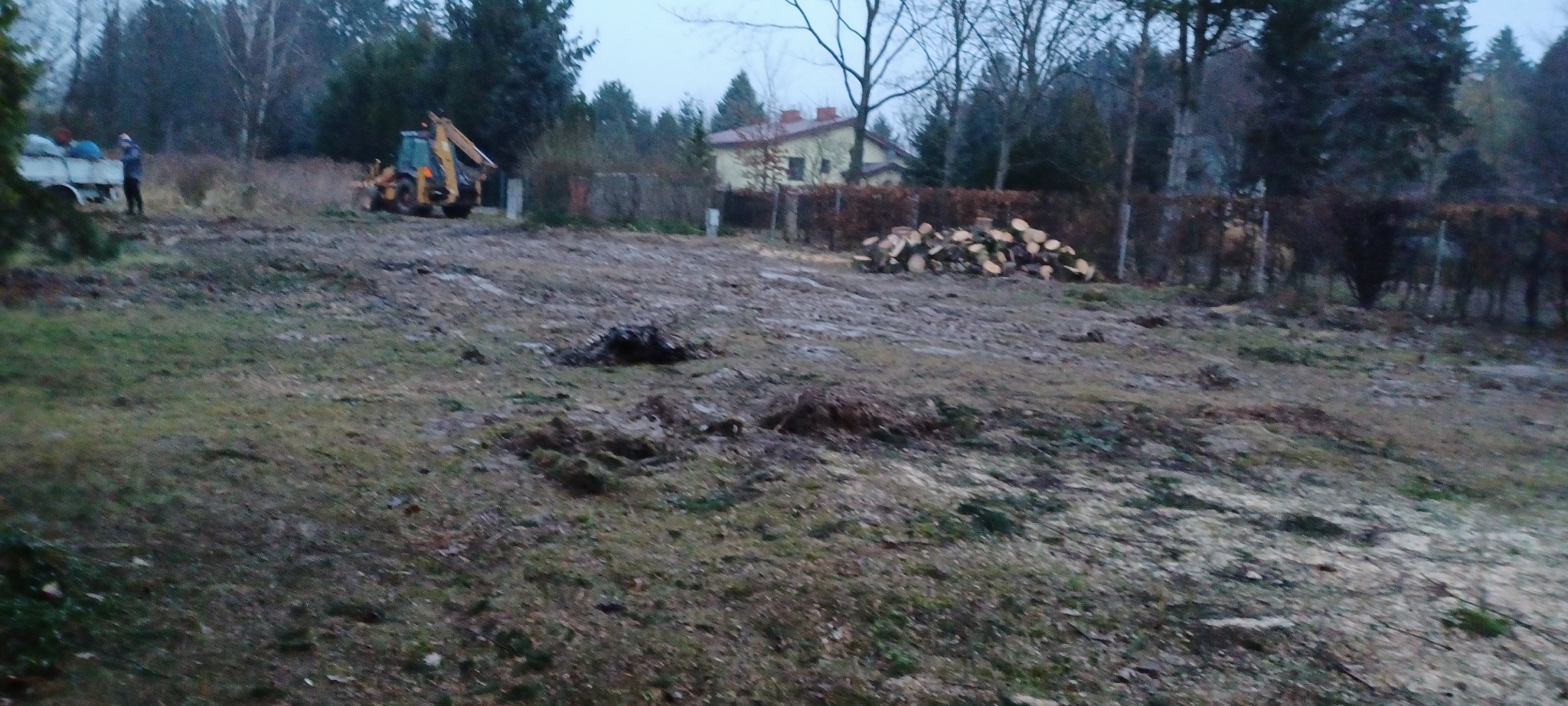 Teren po wycince drzew: widoczny traktor, przyczepa i stos pociętego drewna na tle domu i zarośli.