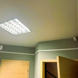 Sufit z wbudowaną kasetonową lampą rastrową, białe listwy przypodłogowe na oliwkowozielonych ścianach, drzwi z jasnego drewna w tle.