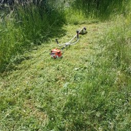 Przycinanie drzew Dopiewo 4