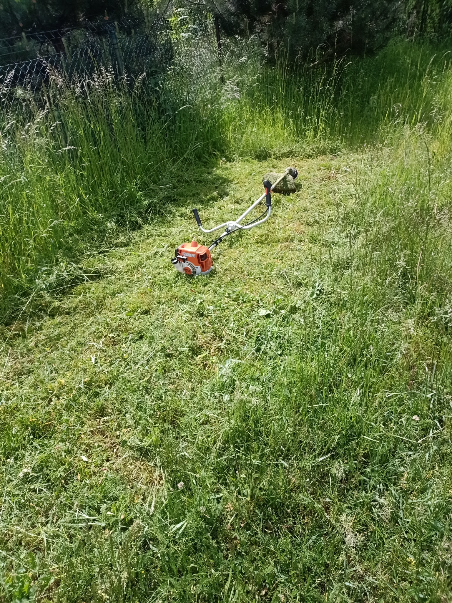 Pomarańczowa kosa spalinowa Stihl leży na częściowo skoszonej trawie na tle wysokiej, niekoszonej trawy przy ogrodzeniu z siatki.