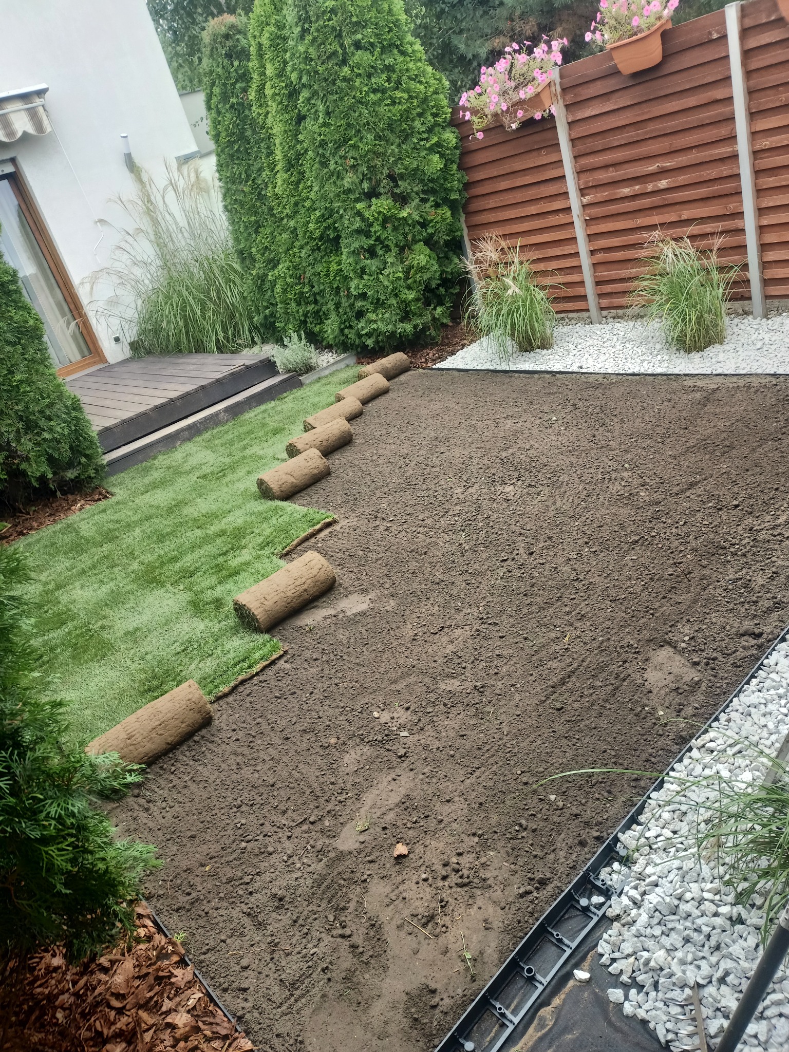 Rozwinięta trawa z rolki na przygotowanym podłożu, widoczna granica z białych kamieni i drewniany płot w tle, fragment domu z drewnianym tarasem po lewej stronie.