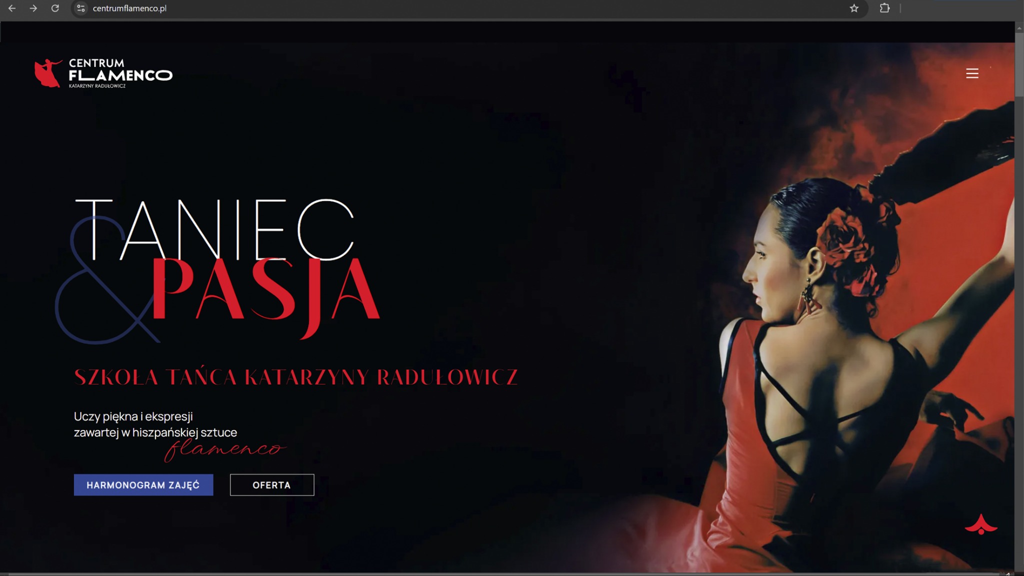 Strona internetowa - Centrum Flamenco