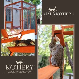 Grzegorz Ziomek Kotiery - Mała KOTIERA -woliera dla kotów i system półek wewnątrz.