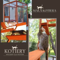 Mała KOTIERA -woliera dla kotów i system półek wewnątrz.