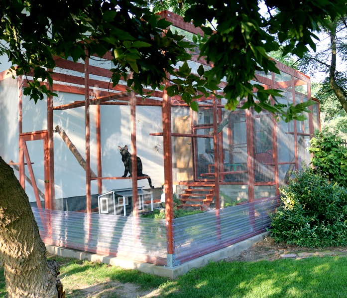 KOTIERA - Woliera dla kotów 4,5 x 5 x3 m