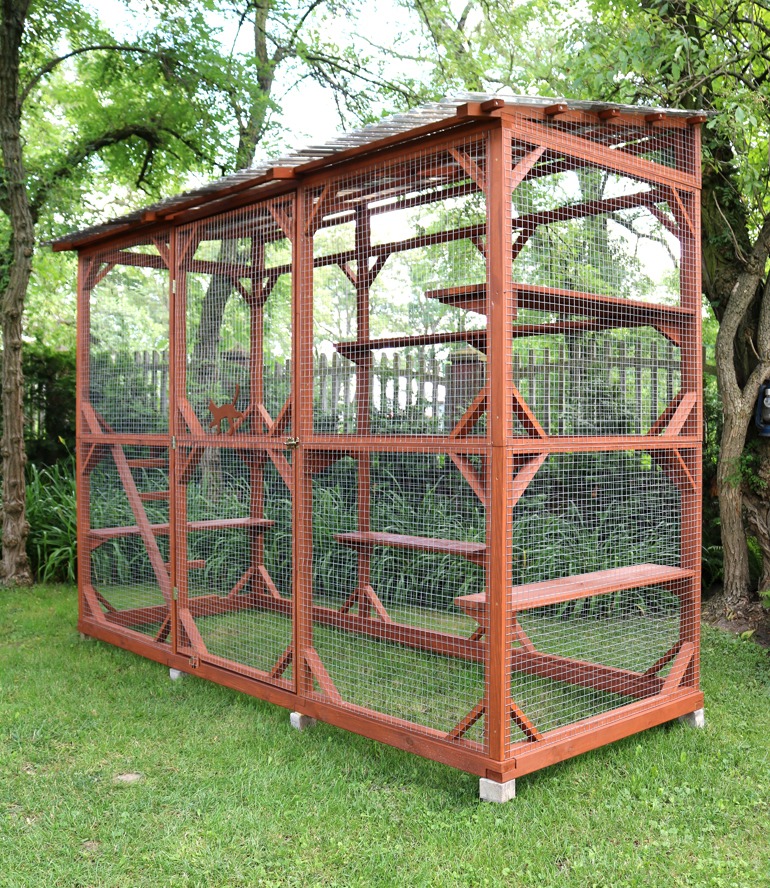 KOTIERA wolnostojąca - mała woliera dla kota, która zmieści się nawet w najmniejszym ogrodzie.