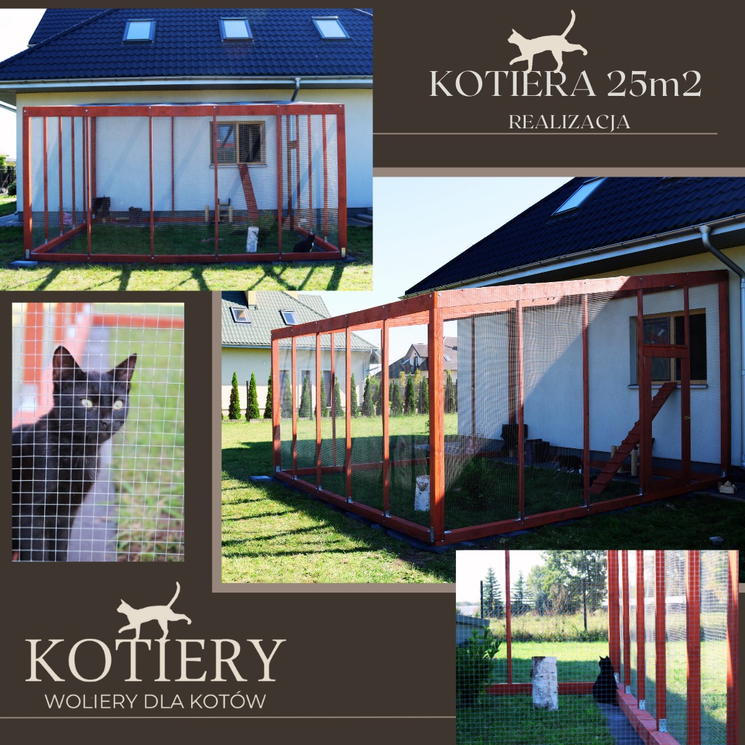 KOTIERA - Woliera dla kotów 25 m2 do biegania i eksploracji.