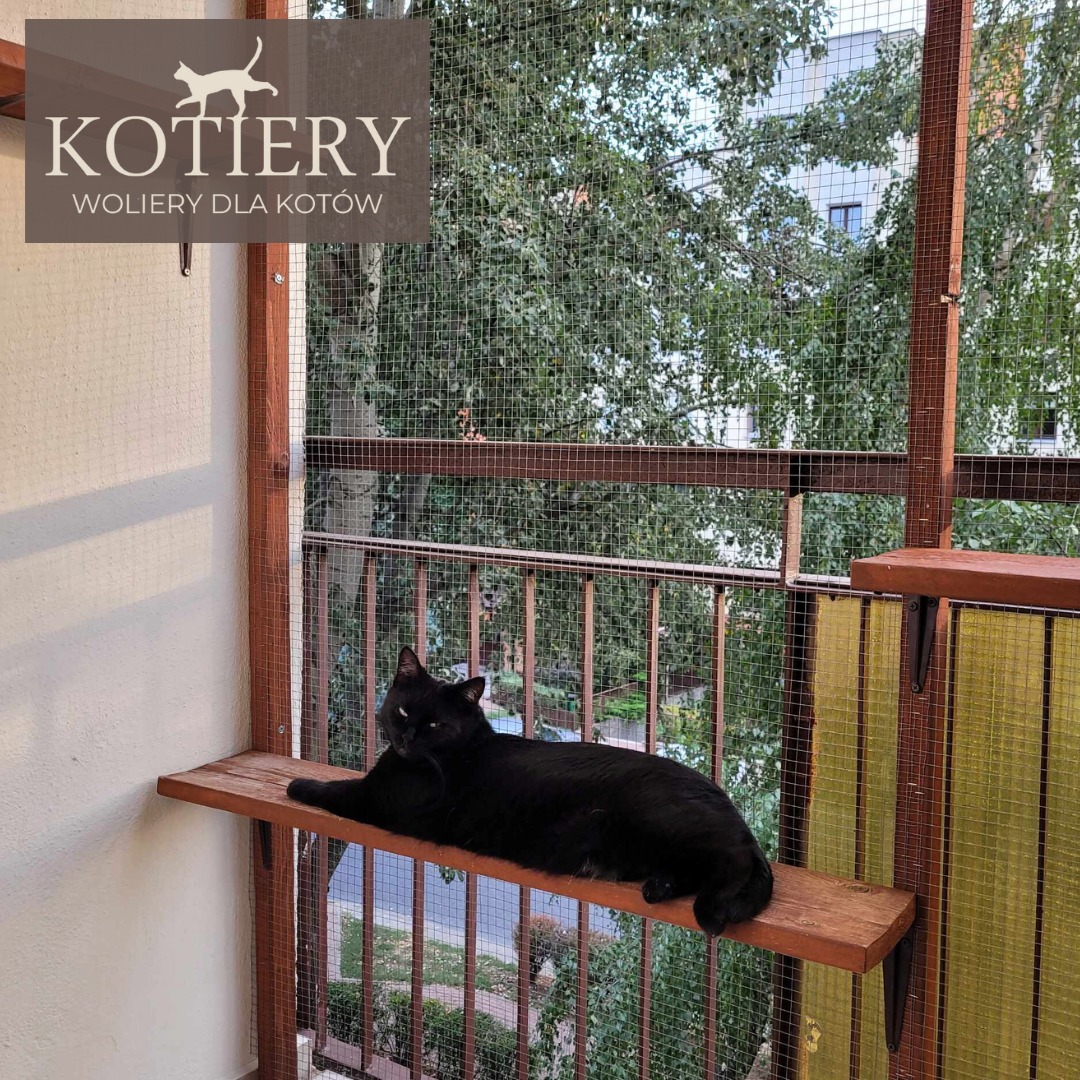 Zadowolona użytkowniczka KOTIERY balkonowej - zabezpieczenia balkonu.