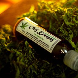 TOVPIKART Robert Towpik - Butelka oleju konopnego z żywokostem, leżąca na tle z suszonych liści, oświetlona ciepłym światłem, tworząca naturalną kompozycję. Produkt w brązowej butelce z etykietą.