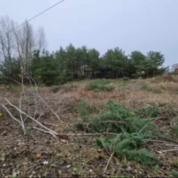 Teren po wycince drzew i krzewów, widoczne gałęzie na ziemi, w tle budynek z panelami słonecznymi i sprzęt budowlany.