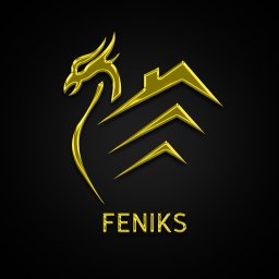 Dolis design - Logo dla firmy FENIKS