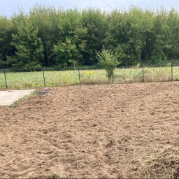 Łukasz Wójcik - Przygotowany teren pod trawnik z rolki, widoczna siatka ogrodzeniowa i drzewa w tle. Ziemia wyrównana i pokryta resztkami roślinności.