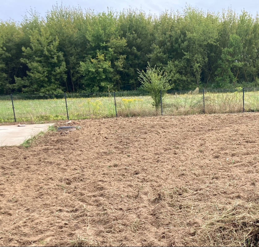 Przygotowany teren pod trawnik z rolki, widoczna siatka ogrodzeniowa i drzewa w tle. Ziemia wyrównana i pokryta resztkami roślinności.