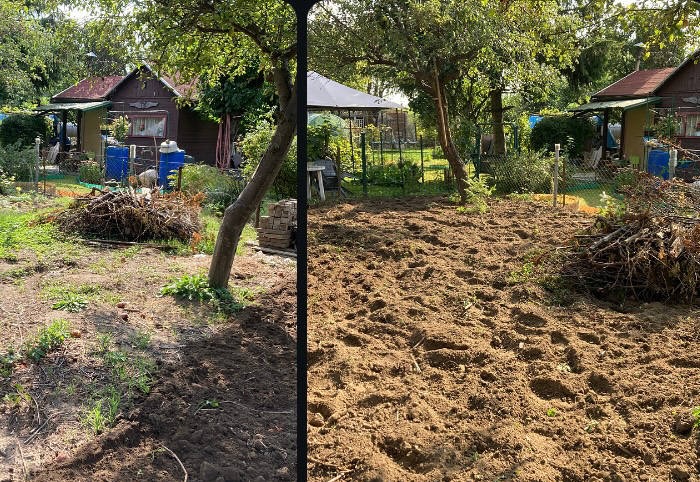 Dwa ujęcia tego samego ogrodu przed i po przekopaniu ziemi, widoczne drzewa, budynki gospodarcze, sterta gałęzi i przygotowany teren pod uprawę.