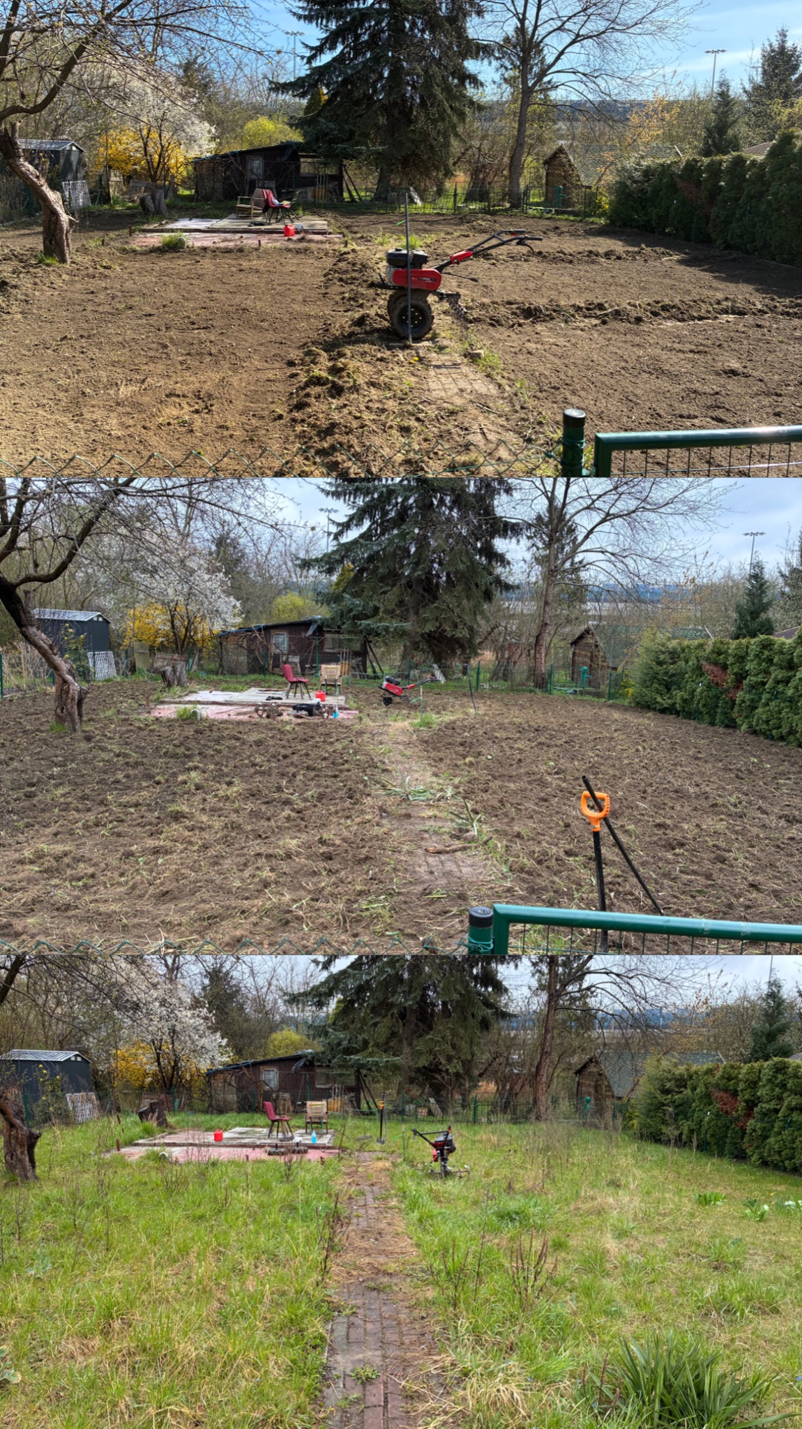 Przygotowanie terenu pod trawnik: glebogryzarka spalinowa na działce, częściowo przekopana ziemia, widoczny stary, ceglany chodnik i altanka w tle.