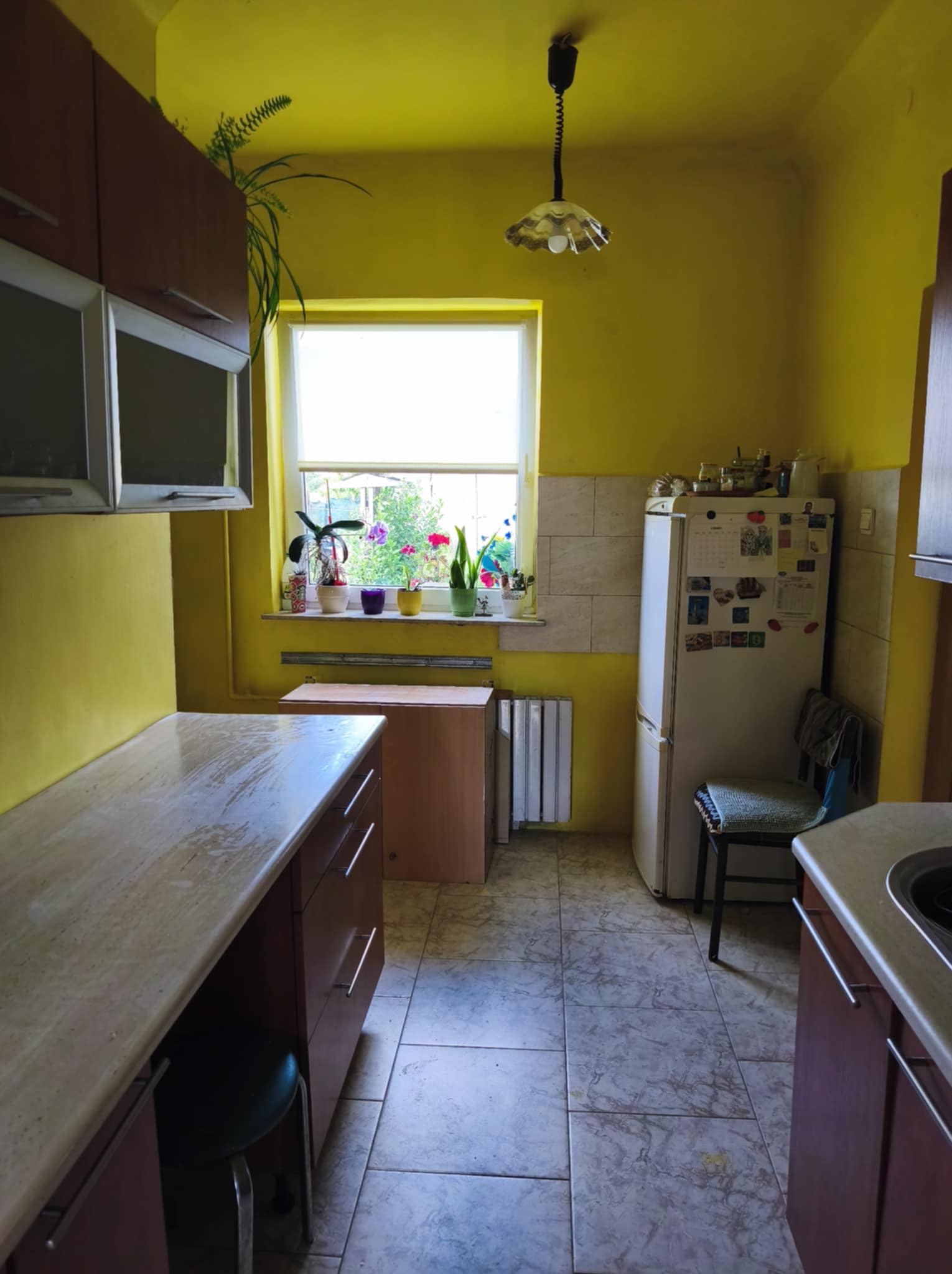 Kuchnia z żółtymi ścianami i oknem z kwiatami. Widoczne szafki, lodówka i krzesło. Na oknie stoją doniczki z kwiatami.