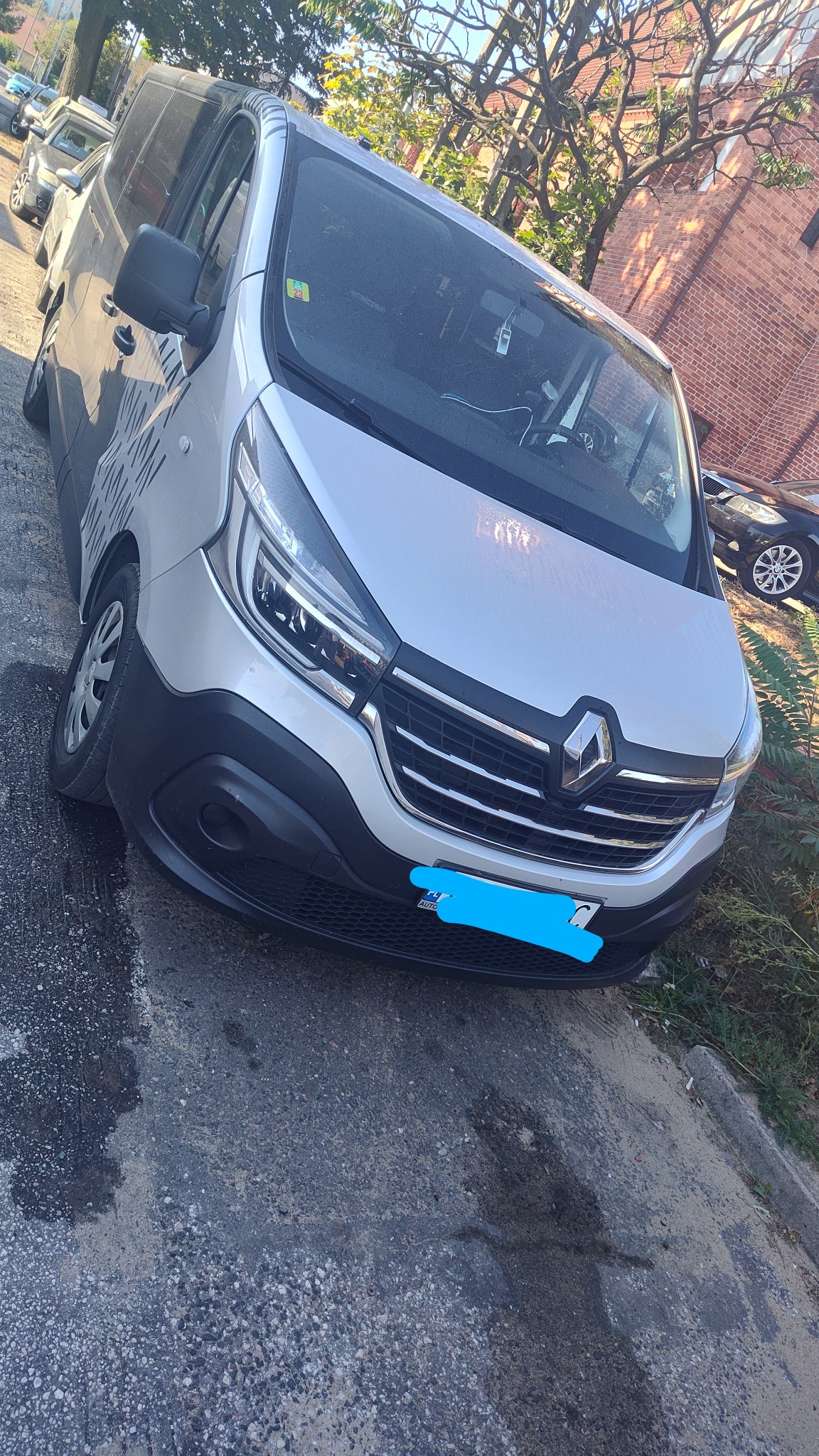 Srebrny bus Renault Trafic z widocznym przodem i fragmentem boku, zaparkowany na ulicy w słoneczny dzień. Na karoserii widoczne czarne, nieregularne wzory.