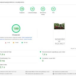 Page speed insight wzrost do 100 na mobile