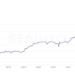 Pozycjonowanie stron Rzeszów 4