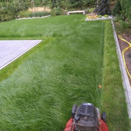 Zakładanie ogrodów Poznań 3