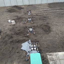 Zastosowanie systemu nawodnienia z linią kroplującą (niemożliwość zastosowania zraszaczy)