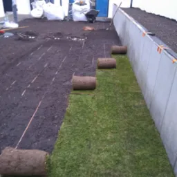 Zakładanie trawnika z rolki.