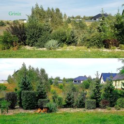 Grinix Sylwester Groblewski - Przycięcie kilku krzewów.