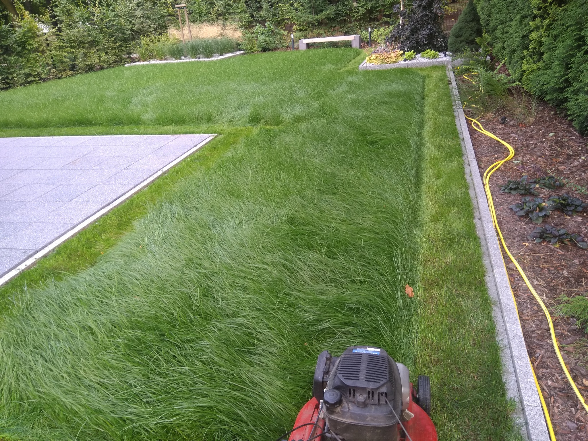 Niedokończone koszenie trawy w Poznaniu: Długa trawa, widoczne ślady po kosiarce, kosiarka spalinowa w kadrze, obrzeża rabat z kostki, żółty wąż ogrodowy wzdłuż rabaty.