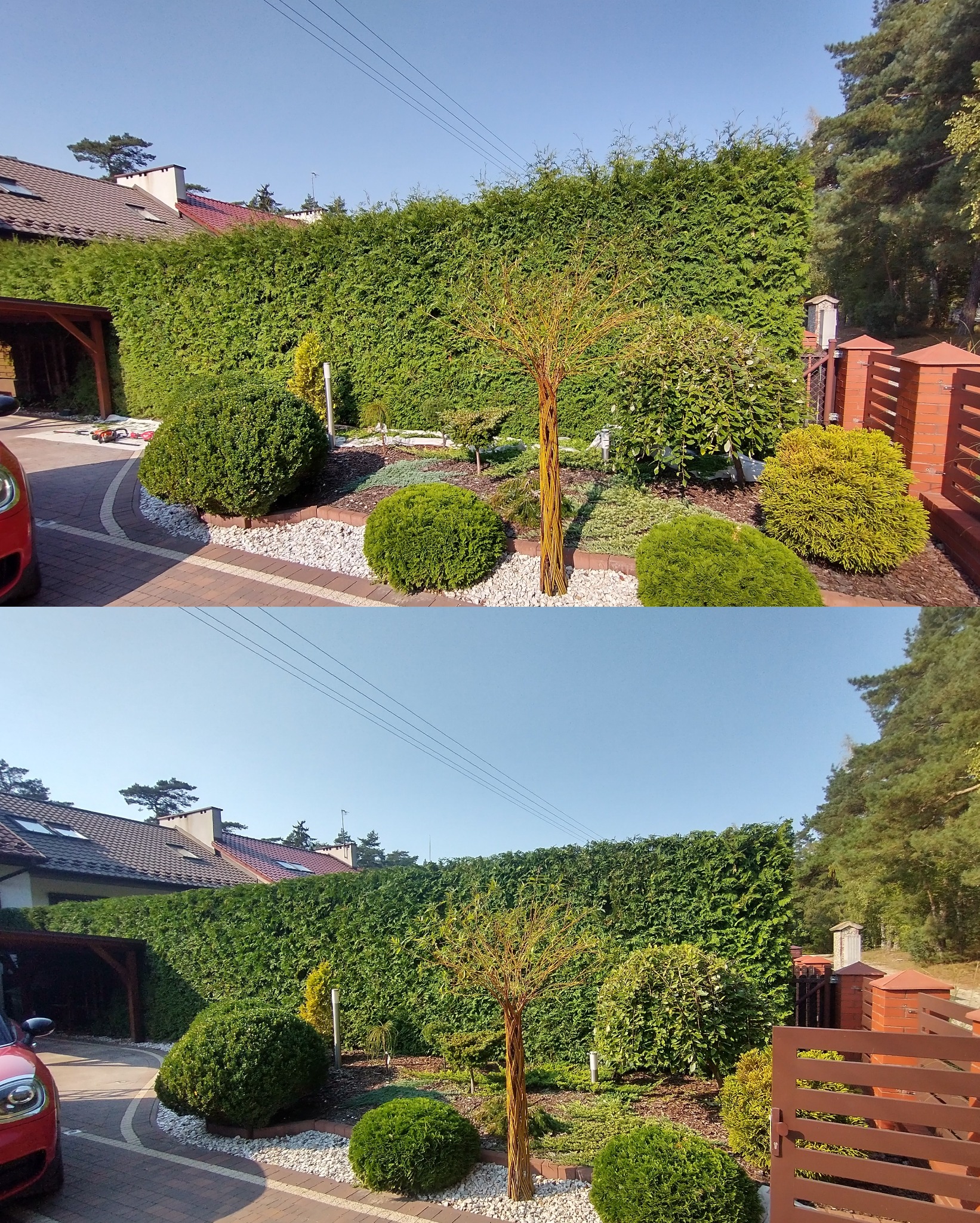 Przycinany żywopłot.