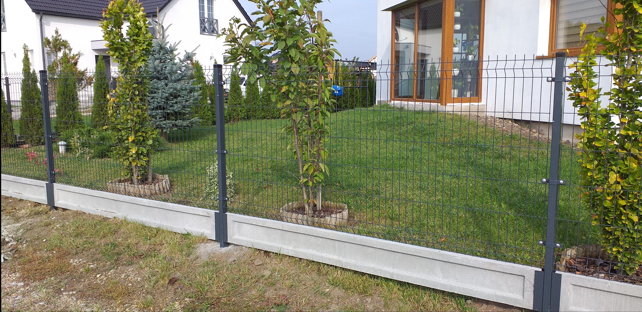 Nowoczesne, ciemnoszare ogrodzenie panelowe z podmurówką betonową, otoczone młodymi drzewkami, na tle zadbanego trawnika i białego domu z dużymi oknami.