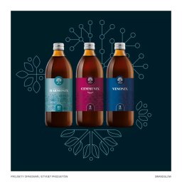 BRANDGLOW - Trzy butelki z ciemnym płynem i etykietami w odcieniach turkusu, fuksji i granatu, prezentujące projekty opakowań z motywami roślinnymi na tle ciemnografitowym z elementami graficznymi.