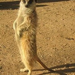 Remonty mieszkań Chojnice 1