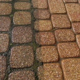 Mycie kostki brukowej - Częściowo umyta kostka brukowa z widocznym brudem i mchem w spoinach, ukazująca efekt czyszczenia pod ciśnieniem. Widok z bliska na mokrą powierzchnię.