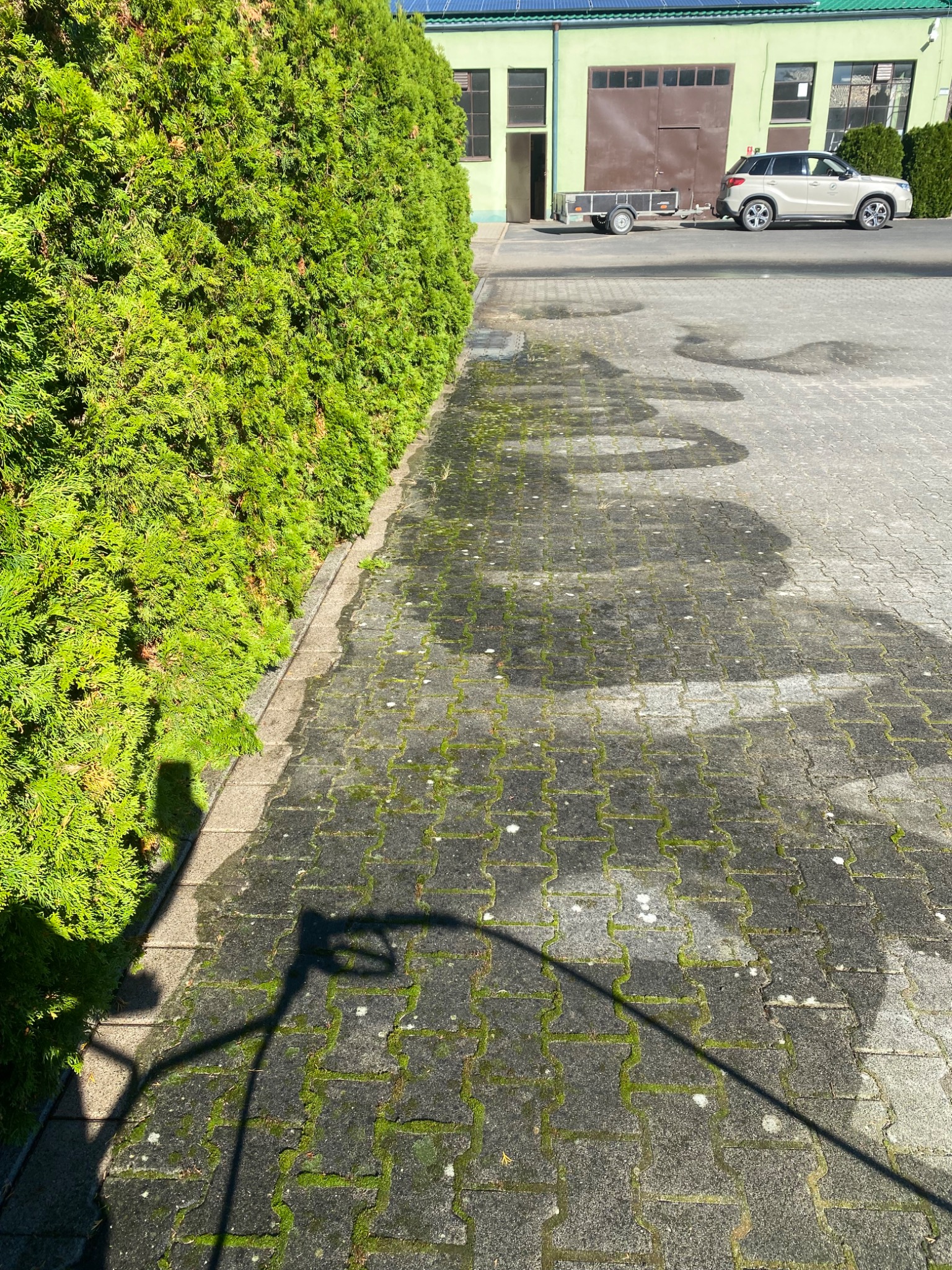 Częściowo umyta kostka brukowa z mchem, widoczny cień lancy do mycia ciśnieniowego, w tle zielony żywopłot i budynek.