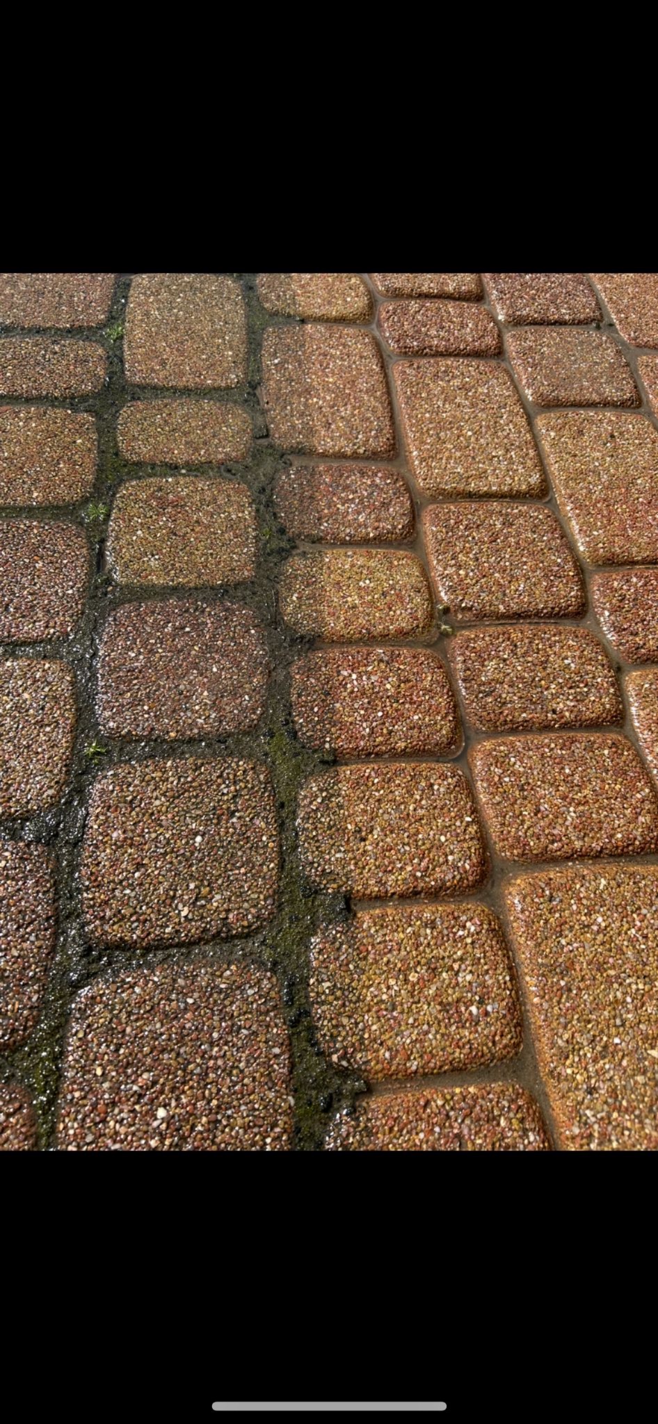 Częściowo umyta kostka brukowa z widocznym brudem i mchem w spoinach, ukazująca efekt czyszczenia pod ciśnieniem. Widok z bliska na mokrą powierzchnię.