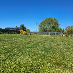 Koszenie trawy Dobrzyca 3