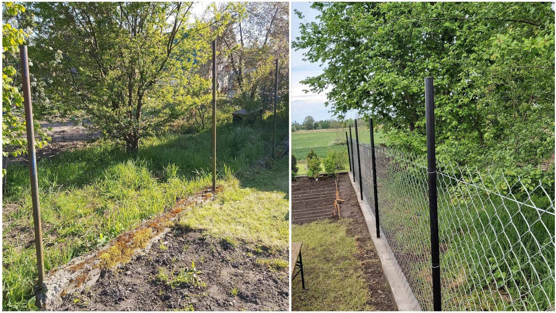 Dwa ujęcia: po lewej teren zarośnięty trawą i starym, betonowym murkiem porośniętym mchem, z wbitymi metalowymi słupkami; po prawej świeżo postawione ogrodzenie z siatki na czarnych słupkach, widok...