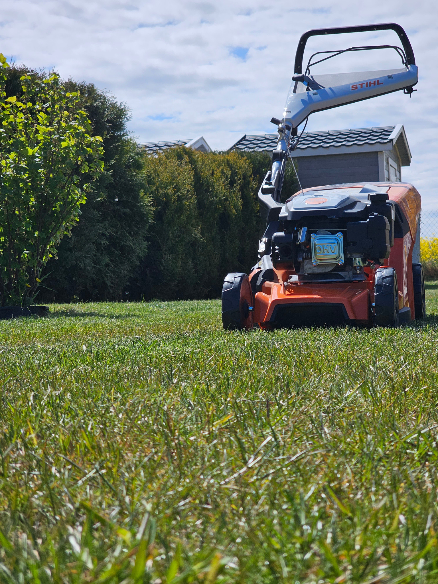Pomarańczowa kosiarka Stihl na trawniku, z żywopłotem w tle i błękitnym niebem. Sprzęt gotowy do pracy, trawa krótko skoszona, widok z niskiej perspektywy.