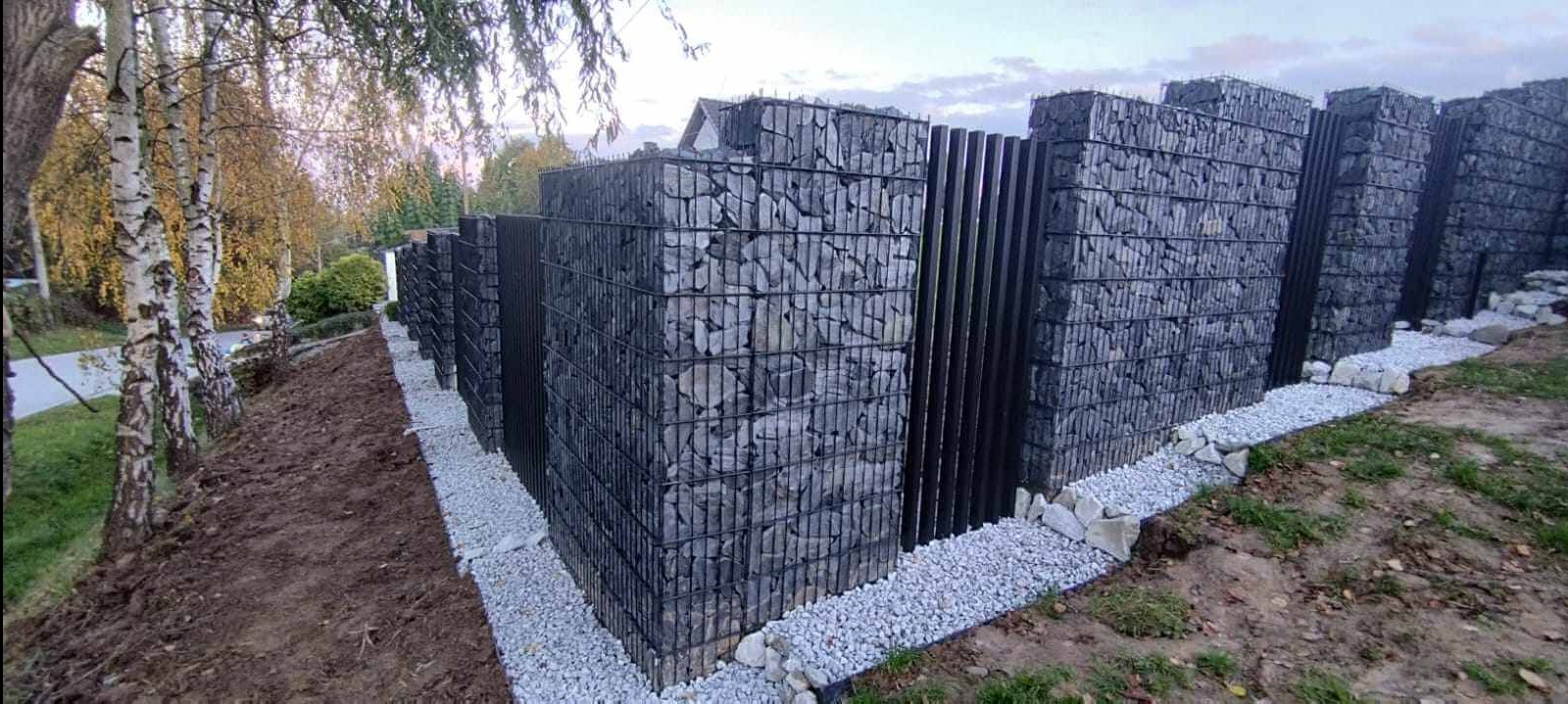 Długi, nowoczesny mur gabionowy z czarnymi, pionowymi elementami, otoczony białym żwirem, biegnący wzdłuż granicy działki z brzozami w tle.