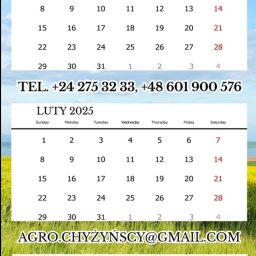 Jolanta Krogulska - Kalendarz firmowy Agro Chyżyńscy z logo, ilustracją traktora i trzema miesiącami: styczeń, luty, marzec 2025.