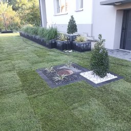 OGRODOMANIAK - Nowoczesny ogród przydomowy z równo przystrzyżonym trawnikiem, rabatami wysypanymi białym i szarym grysem, oraz podwyższonymi rabatami z czarnych bloczków z trawami ozdobnymi i stożkowymi iglakami.