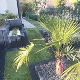 Nowoczesny ogród z palmą w kamiennym obramowaniu, trawnikiem z rolki i ścieżką z kostki brukowej, widok na zalesione wzgórza w tle.