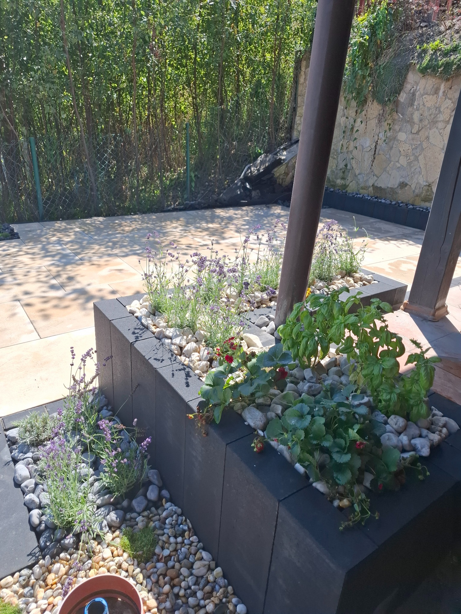 Podwyższona rabata z ciemnych, betonowych elementów wypełniona białymi i szarymi kamieniami, zasadzona lawendą, bazylią i truskawkami, na tle kamiennego muru i jasnej kostki brukowej.