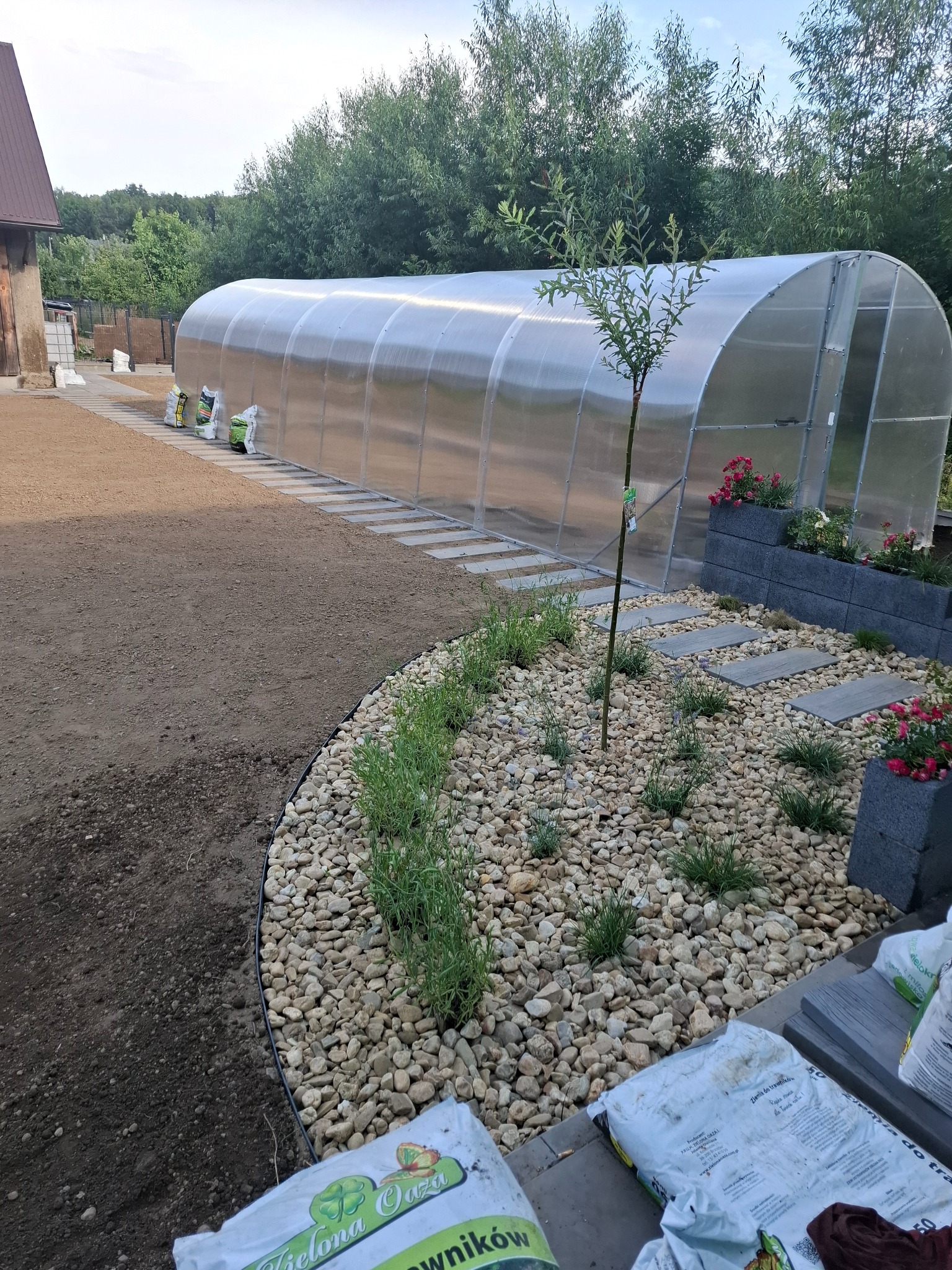 Folia tunelowa w ogrodzie, obok przygotowane podłoże, kamienie ozdobne, rosnące krzewy i kwiaty w donicach, worki z ziemią ogrodową.