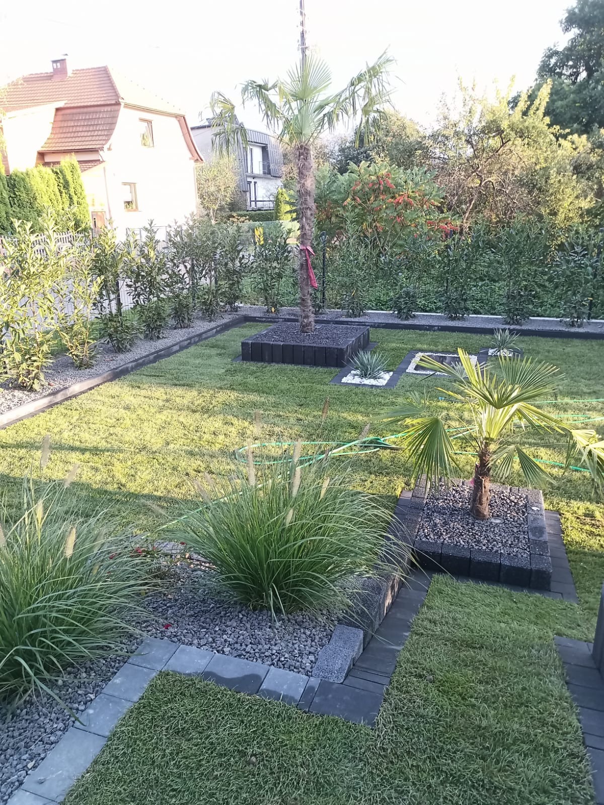Nowoczesny ogród z palmami, ozdobnymi trawami i geometrycznymi rabatami wykończonymi szarym kamieniem i kostką brukową. W tle domy i zielona roślinność.