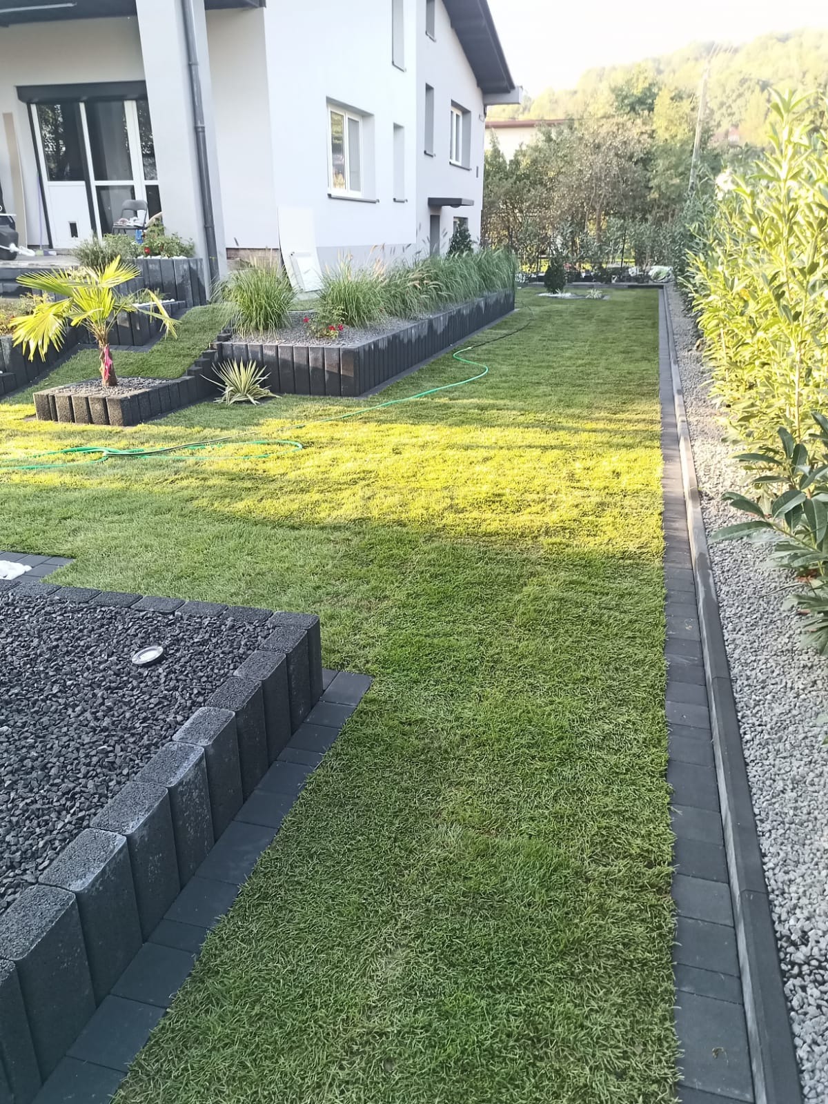 Świeżo założony trawnik z systemem nawadniania, obrzeżami z kostki betonowej i rabatami z egzotyczną roślinnością, widok z perspektywy ziemi na tle domu.