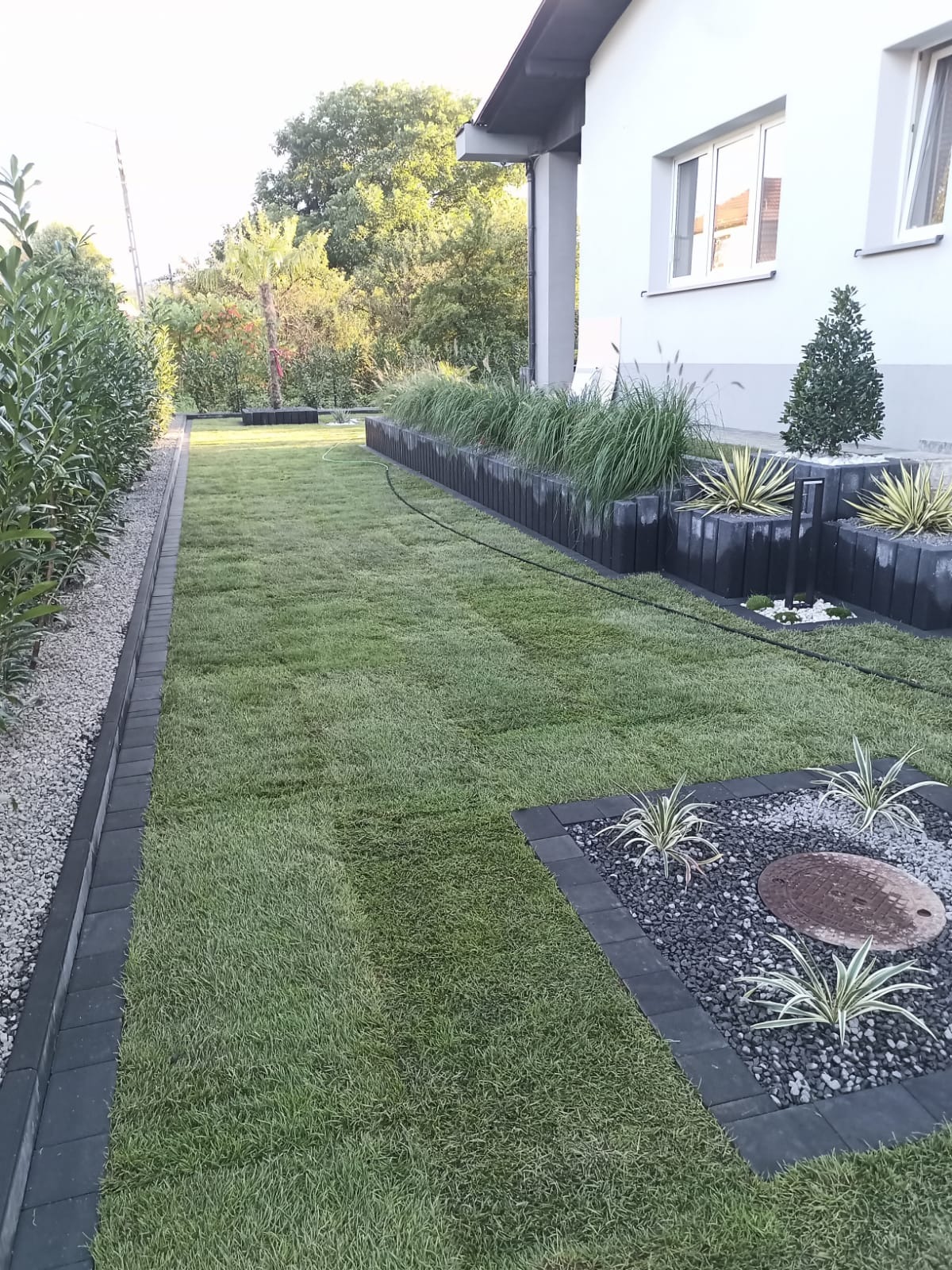 Świeżo założony trawnik z rolki, obrzeża z kostki granitowej, rabaty z ozdobnymi trawami i roślinami w donicach z betonowych bloczków, studzienka rewizyjna wkomponowana w rabatę z czarnego grysu.