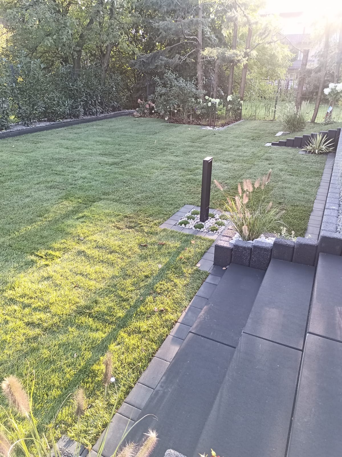 Zadbany trawnik z ozdobnymi trawami i niskimi roślinami okrywowymi, obrzeża z kostki brukowej, nowoczesne oświetlenie ogrodowe i schody z płyt betonowych.