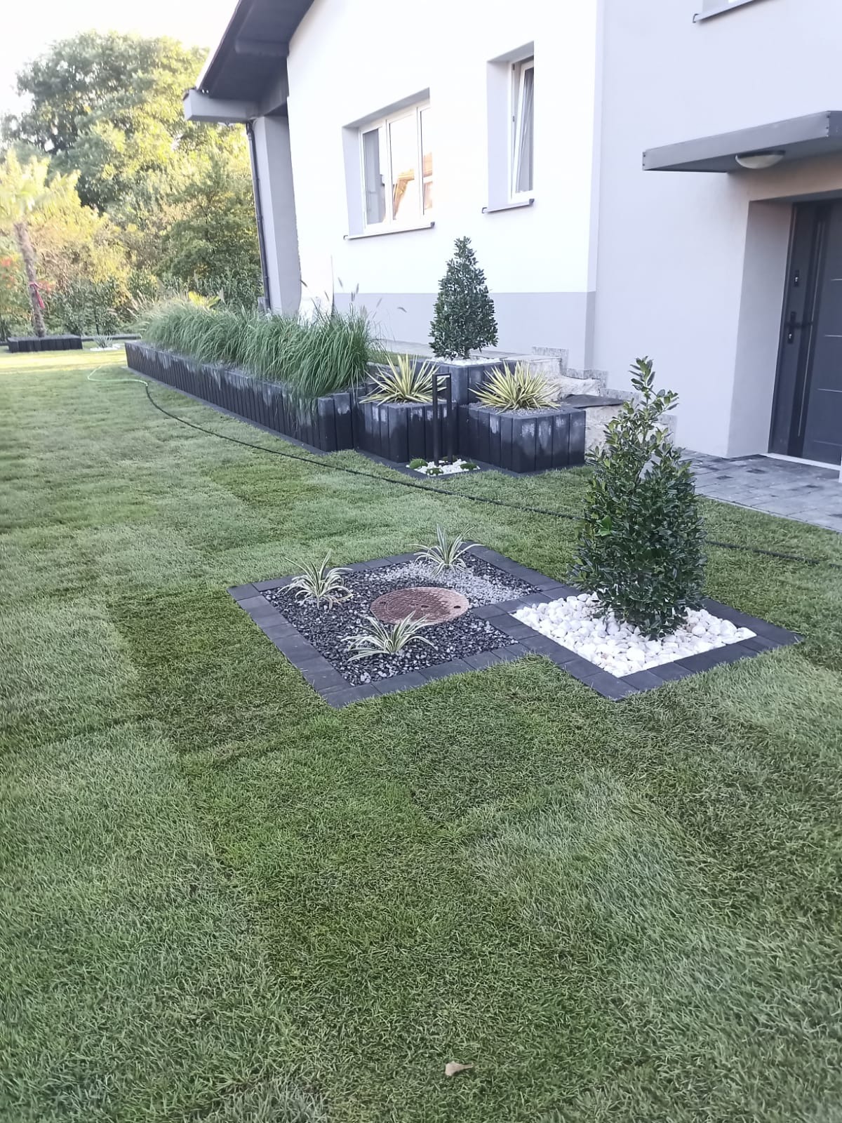 Nowoczesny ogród przydomowy z równo przystrzyżonym trawnikiem, rabatami wysypanymi białym i szarym grysem, oraz podwyższonymi rabatami z czarnych bloczków z trawami ozdobnymi i stożkowymi iglakami.